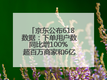 京东公布618数据：下单用户数同比增100% 超百万商家和6亿消费者受益AI