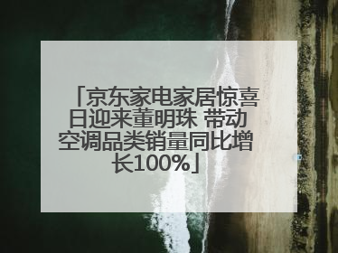 京东家电家居惊喜日迎来董明珠 带动空调品类销量同比增长100%