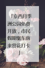 京西月季洲公园免费开放，市民假期驱车前来赏花打卡