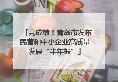 亮成绩！青岛市发布民营和中小企业高质量发展“半年报”