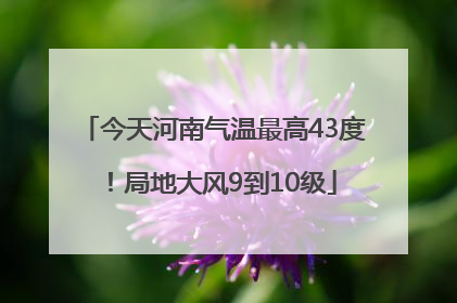 今天河南气温最高43度！局地大风9到10级