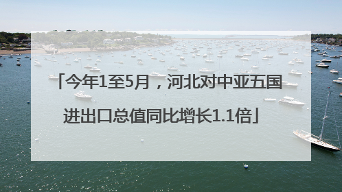 今年1至5月，河北对中亚五国进出口总值同比增长1.1倍
