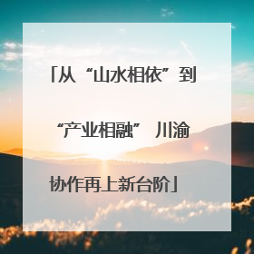 从“山水相依”到“产业相融” 川渝协作再上新台阶