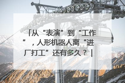 从“表演”到“工作”，人形机器人离“进厂打工”还有多久？｜机器人商业新纪元