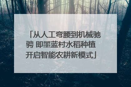 从人工弯腰到机械驰骋 即墨蓝村水稻种植开启智能农耕新模式