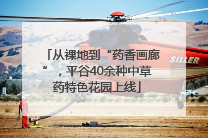 从裸地到“药香画廊”，平谷40余种中草药特色花园上线