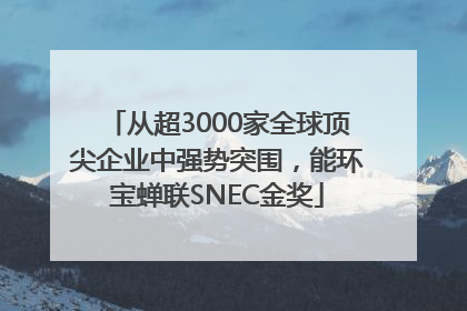 从超3000家全球顶尖企业中强势突围，能环宝蝉联SNEC金奖