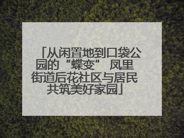 从闲置地到口袋公园的“蝶变” 凤里街道后花社区与居民共筑美好家园