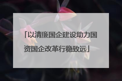 以清廉国企建设助力国资国企改革行稳致远