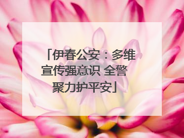 伊春公安：多维宣传强意识 全警聚力护平安