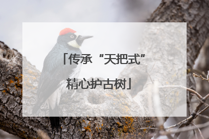 传承“天把式” 精心护古树