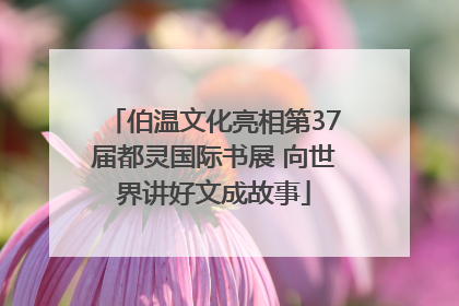 伯温文化亮相第37届都灵国际书展 向世界讲好文成故事