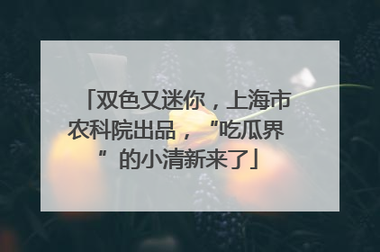 双色又迷你，上海市农科院出品，“吃瓜界”的小清新来了