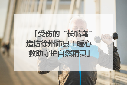 受伤的“长嘴鸟”造访徐州沛县！暖心救助守护自然精灵