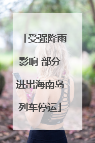 受强降雨影响 部分进出海南岛列车停运