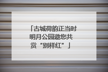 古城荷韵正当时 明月公园邀您共赏“别样红”