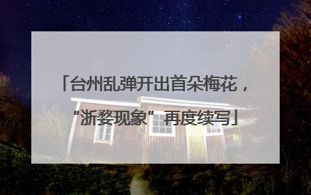 台州乱弹开出首朵梅花，“浙婺现象”再度续写