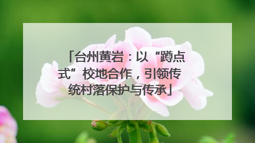 台州黄岩：以“蹲点式”校地合作，引领传统村落保护与传承