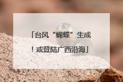台风“蝴蝶”生成！或登陆广西沿海