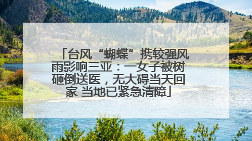 台风“蝴蝶”携较强风雨影响三亚：一女子被树砸倒送医，无大碍当天回家 当地已紧急清障