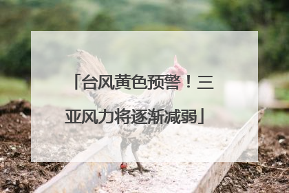 台风黄色预警！三亚风力将逐渐减弱