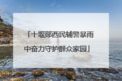 十堰郧西民辅警暴雨中奋力守护群众家园