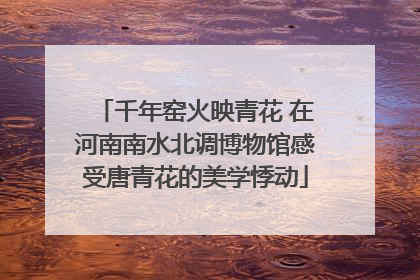 千年窑火映青花 在河南南水北调博物馆感受唐青花的美学悸动