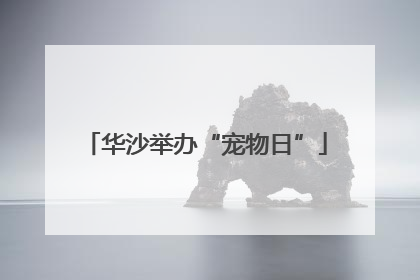 华沙举办“宠物日”