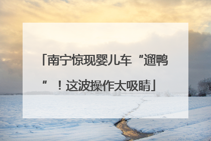 南宁惊现婴儿车“遛鸭”！这波操作太吸睛