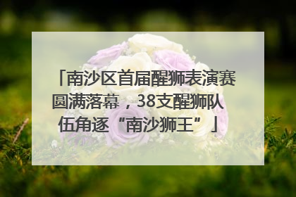 南沙区首届醒狮表演赛圆满落幕，38支醒狮队伍角逐“南沙狮王”