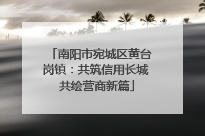 南阳市宛城区黄台岗镇：共筑信用长城 共绘营商新篇