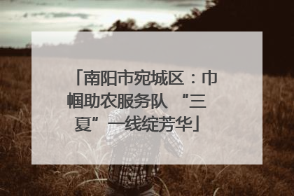 南阳市宛城区：巾帼助农服务队 “三夏”一线绽芳华