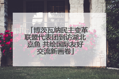 博茨瓦纳民主变革联盟代表团到访湖北嘉鱼 共绘国际友好交流新画卷