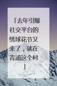 去年引爆社交平台的绣球花节又来了，就在青浦这个村