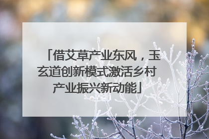 借艾草产业东风，玉玄道创新模式激活乡村产业振兴新动能