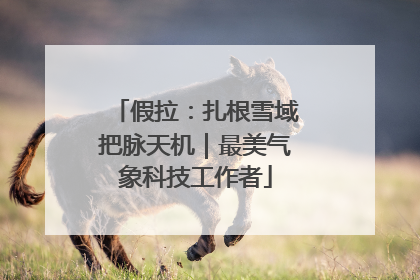 假拉：扎根雪域把脉天机｜最美气象科技工作者