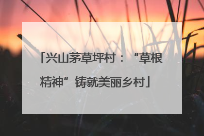 兴山茅草坪村：“草根精神”铸就美丽乡村