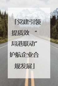 党建引领提质效 “局港联动”护航企业合规发展