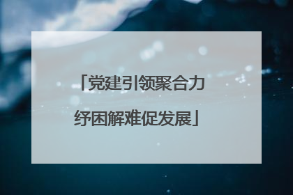 党建引领聚合力 纾困解难促发展