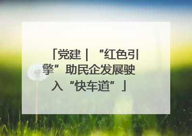 党建｜“红色引擎”助民企发展驶入“快车道”