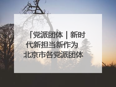 党派团体｜新时代新担当新作为 北京市各党派团体这么干！