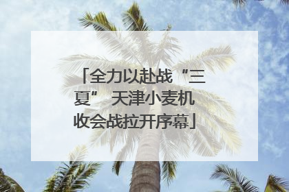 全力以赴战“三夏” 天津小麦机收会战拉开序幕