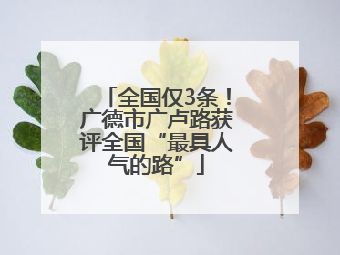 全国仅3条！广德市广卢路获评全国“最具人气的路”