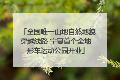 全国唯一山地自然地貌穿越线路 宁夏首个全地形车运动公园开业