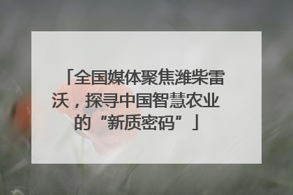 全国媒体聚焦潍柴雷沃，探寻中国智慧农业的“新质密码”