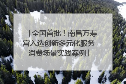 全国首批！南昌万寿宫入选创新多元化服务消费场景实践案例