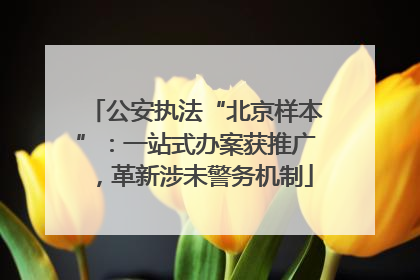 公安执法“北京样本”：一站式办案获推广，革新涉未警务机制