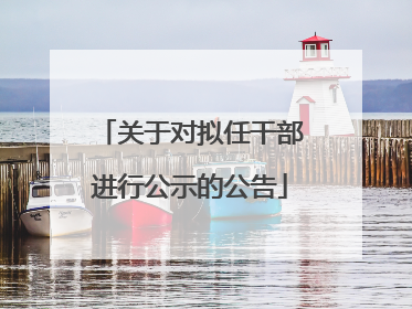 关于对拟任干部进行公示的公告