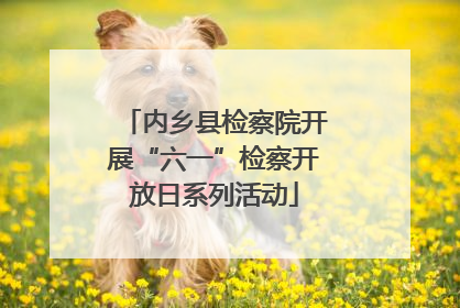 内乡县检察院开展“六一”检察开放日系列活动