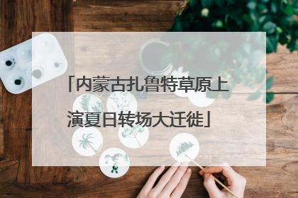 内蒙古扎鲁特草原上演夏日转场大迁徙